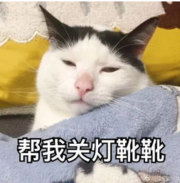 小0福音，菊花保养指南！！！ - 51虹马