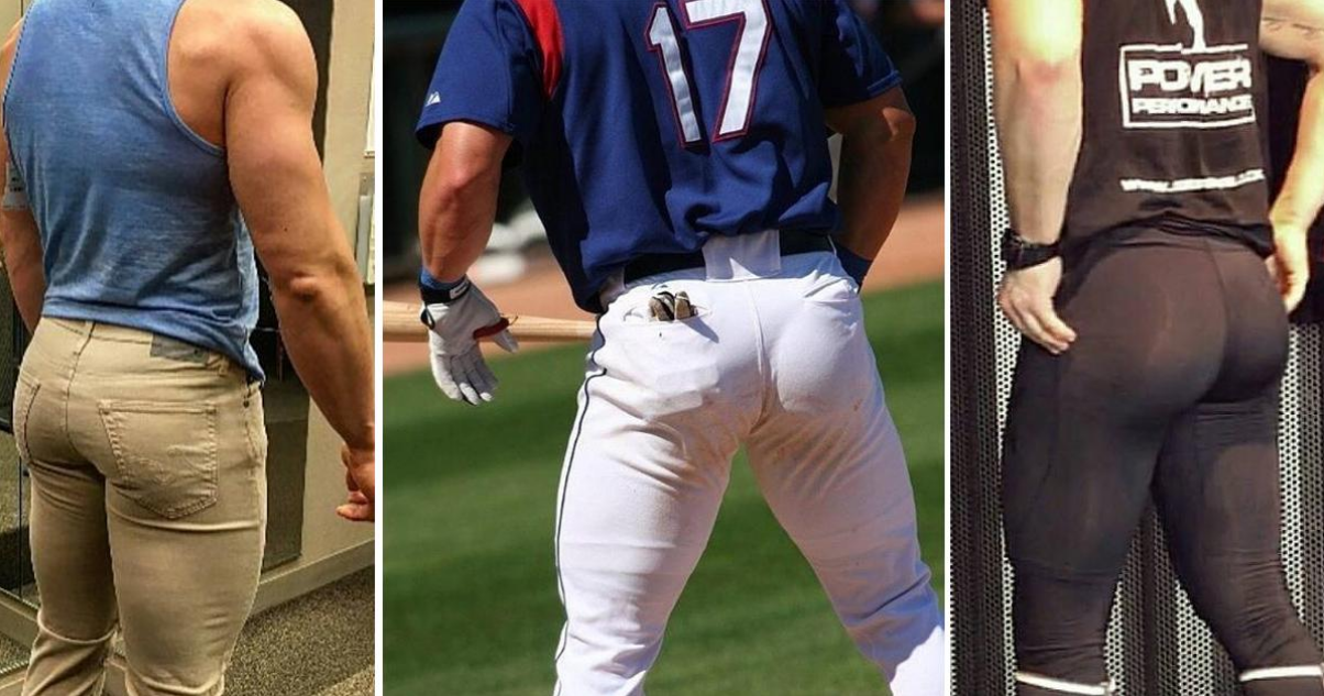 11个菊花冷知识，网友直呼：到底看了什么？ - 51虹马