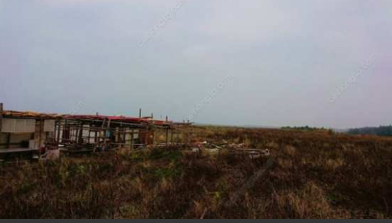 台南同志据点小美军和东兴公园分享 - 51虹马 台南同志据点小美军和东兴公园分享 - 51虹马