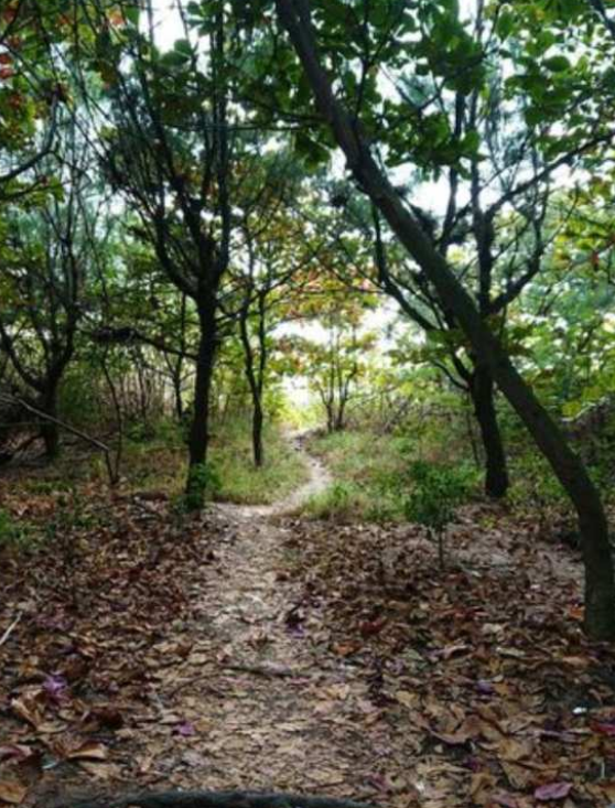 台南同志据点绝佳之地四草海岸, 即可裸晒, 又可野战 - 51虹马 台南同志据点绝佳之地四草海岸, 即可裸晒, 又可野战 - 51虹马