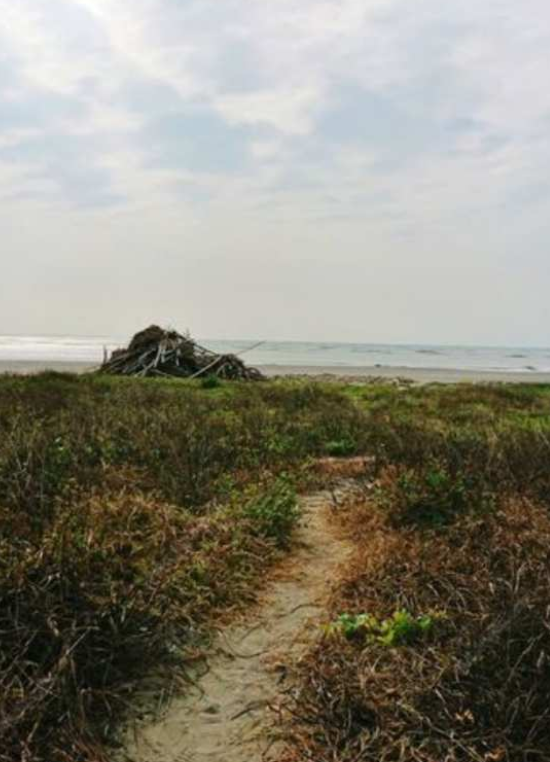 台南同志据点绝佳之地四草海岸, 即可裸晒, 又可野战 - 51虹马 台南同志据点绝佳之地四草海岸, 即可裸晒, 又可野战 - 51虹马