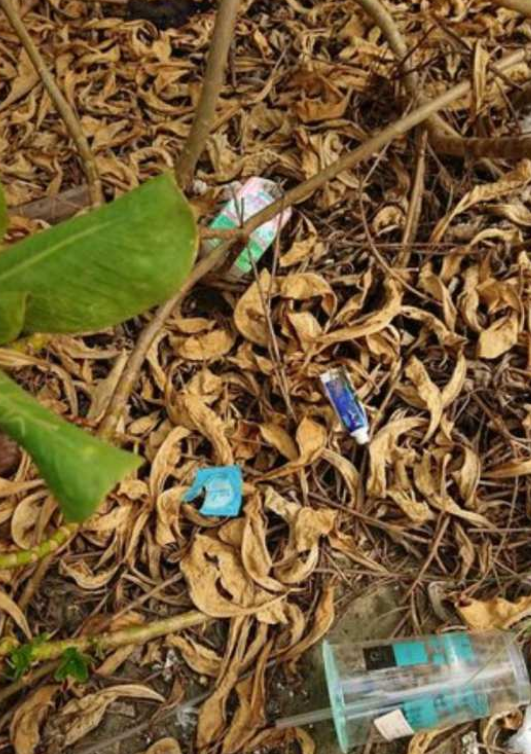 台南同志据点绝佳之地四草海岸, 即可裸晒, 又可野战 - 51虹马 台南同志据点绝佳之地四草海岸, 即可裸晒, 又可野战 - 51虹马