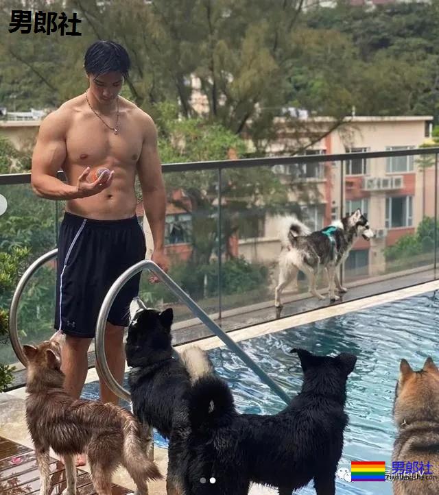 基因太强大!港姐的儿子太帅火了,鼻子超大! - 51虹马 基因太强大!港姐的儿子太帅火了,鼻子超大! - 51虹马