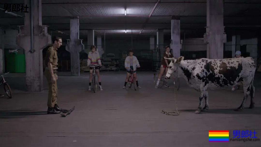 在好望角,听金丝雀唱歌! - 51虹马 在好望角,听金丝雀唱歌! - 51虹马