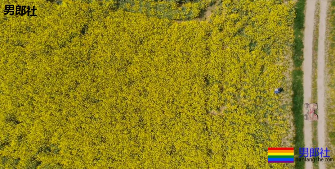 在花海里做爱做的事情:你想体验吗? - 51虹马 在花海里做爱做的事情:你想体验吗? - 51虹马