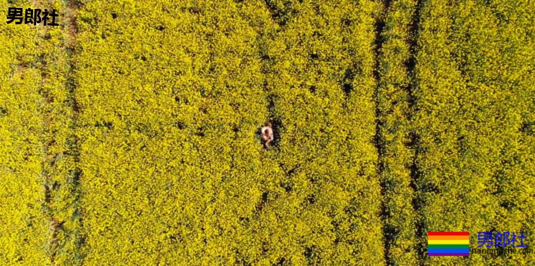 在花海里做爱做的事情:你想体验吗? - 51虹马 在花海里做爱做的事情:你想体验吗? - 51虹马