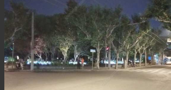 同志据点漫游之八: 上海 - 51虹马