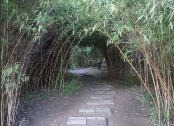 同志据点漫游之十:陕西渭南 - 51虹马 同志据点漫游之十:陕西渭南 - 51虹马