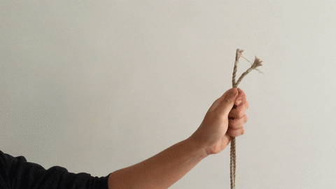 农牛是不是安全合理的性行为? - 51虹马 农牛是不是安全合理的性行为? - 51虹马