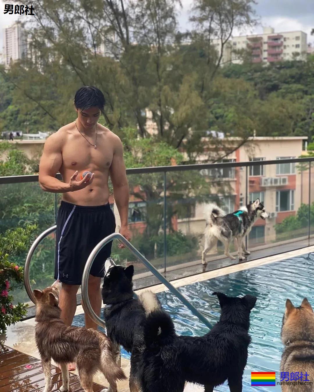 寸头腹肌小哥竟是星二代!？23岁港姐儿子凭腱子肉圈粉无数！ - 51虹马