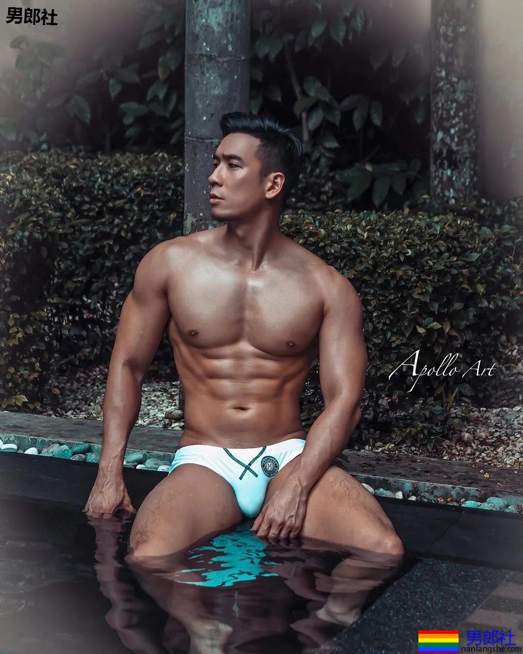 Gay为什么那么喜欢推特?-51虹马