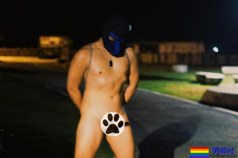 台湾北部名犬谈调教快感:闻著热液、观察周遭动静 让犬性发挥到最大! - 51虹马 台湾北部名犬谈调教快感:闻著热液、观察周遭动静 让犬性发挥到最大! - 51虹马