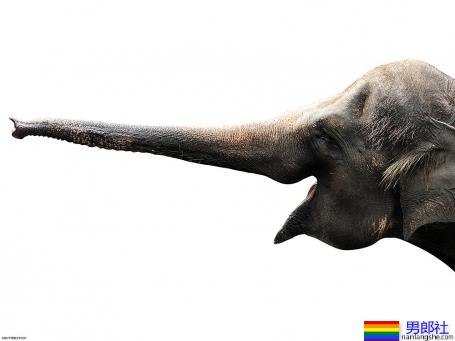 15个男同志零号的辛酸，告诉你为什麽当零号比一号更辛苦 - 51虹马