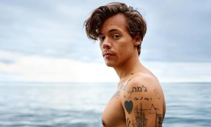 Harry Styles将出演同志小说改编电影《My Policeman》-51虹马