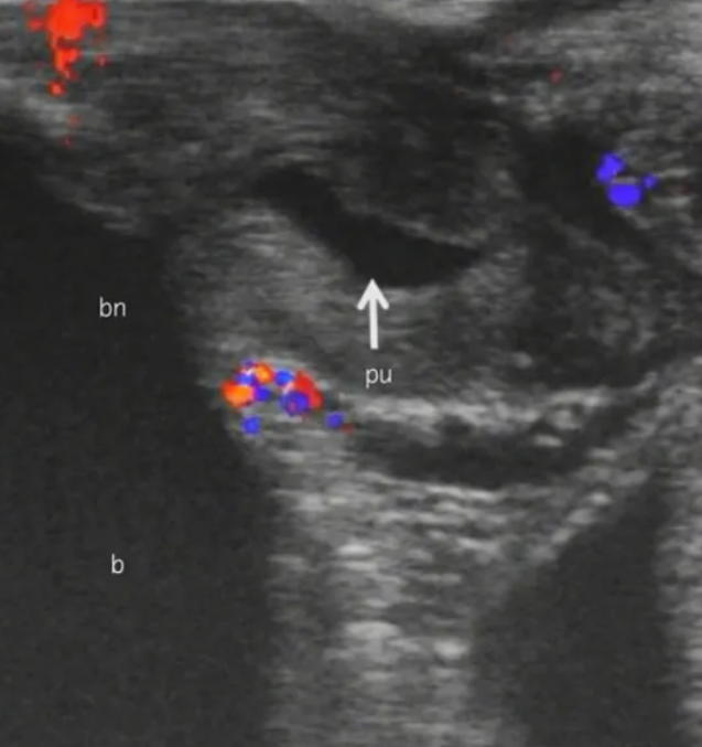 农牛是不是安全合理的性行为? - 51虹马 农牛是不是安全合理的性行为? - 51虹马