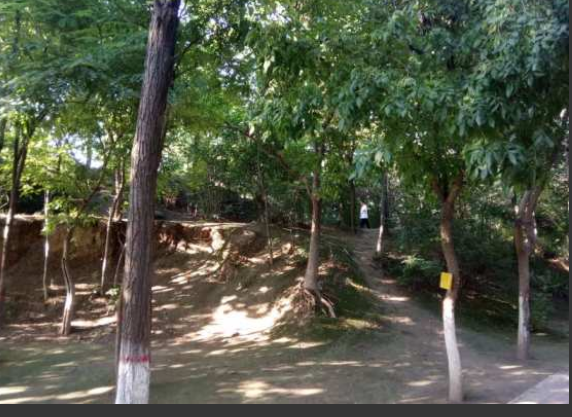 同志据点漫游之十二：咸阳 （附记榆林） - 51虹马