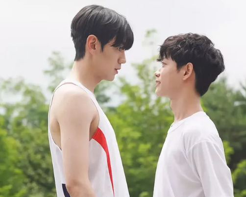 学弟暗恋校草学长，高颜值新剧开播！-51虹马