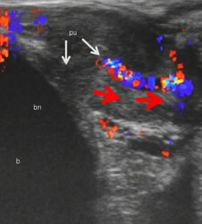 农牛是不是安全合理的性行为? - 51虹马 农牛是不是安全合理的性行为? - 51虹马
