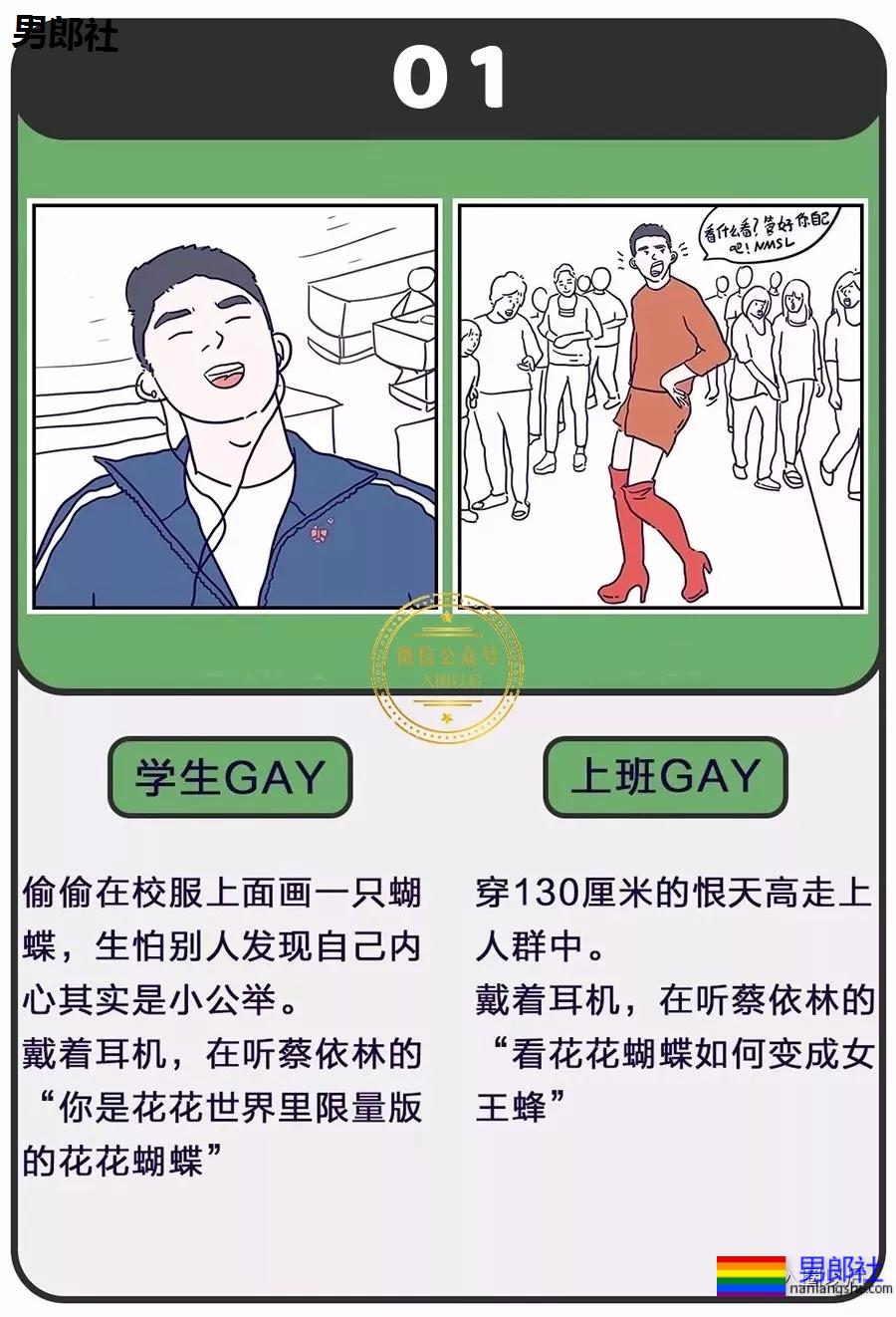 老司机和雏菊的区别？说多了都是泪-51虹马