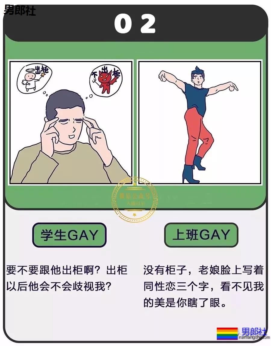 老司机和雏菊的区别？说多了都是泪 - 51虹马