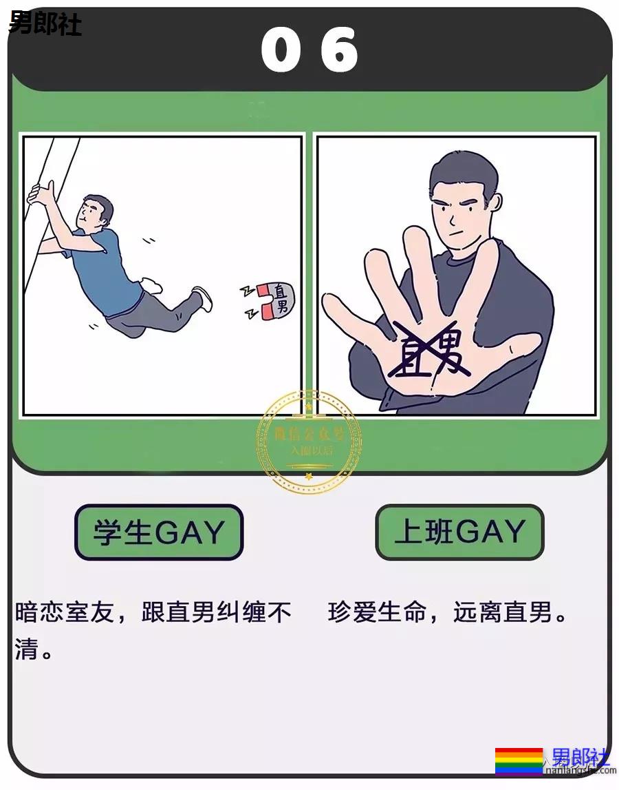 老司机和雏菊的区别？说多了都是泪 - 51虹马