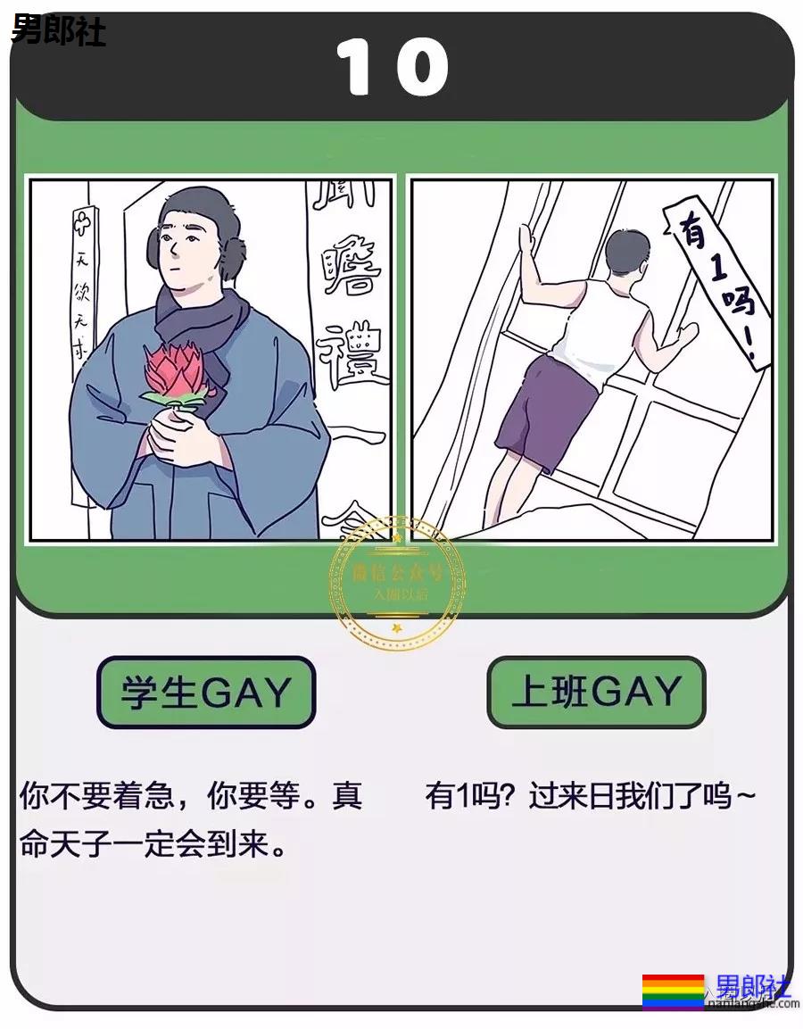 老司机和雏菊的区别？说多了都是泪 - 51虹马