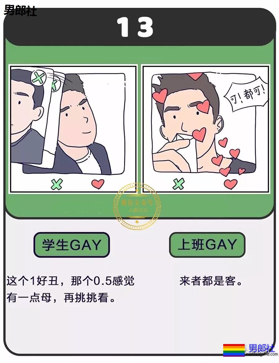 老司机和雏菊的区别？说多了都是泪 - 51虹马