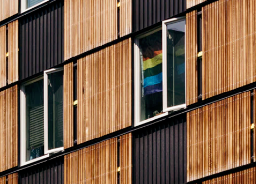 聚焦同性恋群体丨消除误解和定罪，正确看待同性恋-51虹马