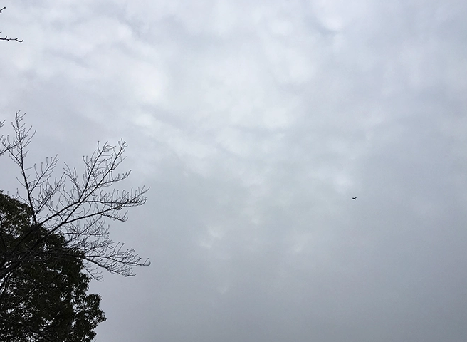 菲国移工的告白 - 51虹马 菲国移工的告白 - 51虹马