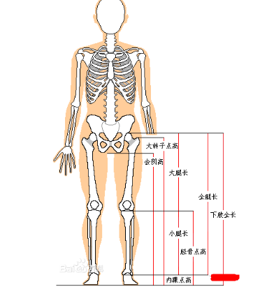 186CM东北大鼻子博主走红，这身材也太可了！ - 51虹马