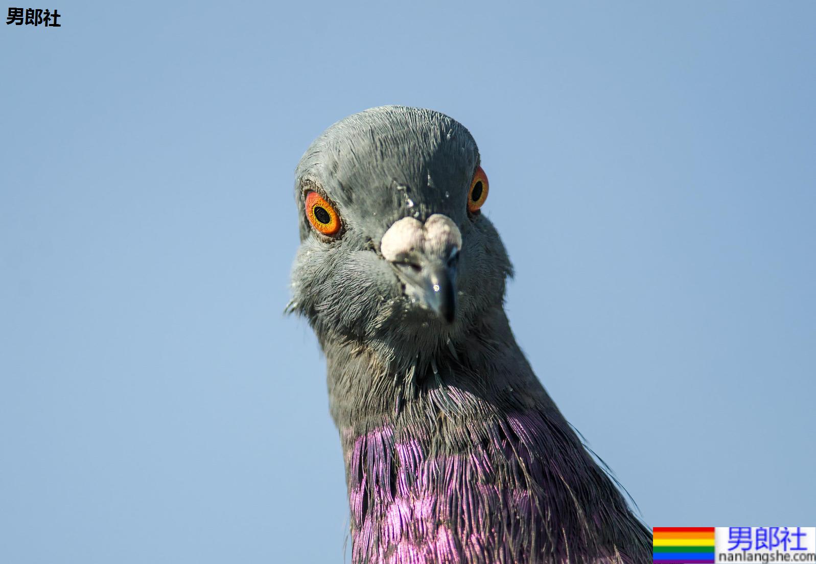 你也遇过这种吗？10种同志交友APP上让你翻白眼的NG渣男 - 51虹马