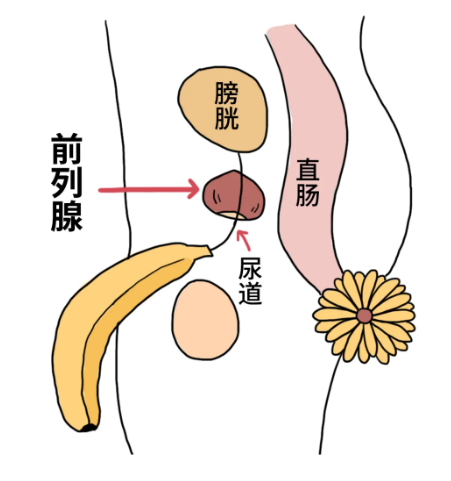 不戴套的那一夜，我终于感染了HIV |真实故事 - 51虹马