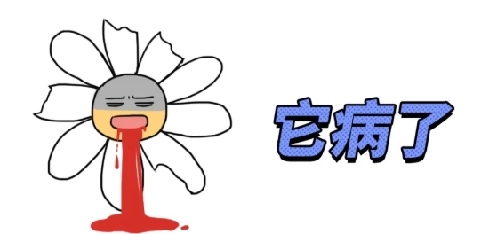 不戴套的那一夜，我终于感染了HIV |真实故事 - 51虹马