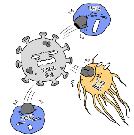 不戴套的那一夜，我终于感染了HIV |真实故事 - 51虹马