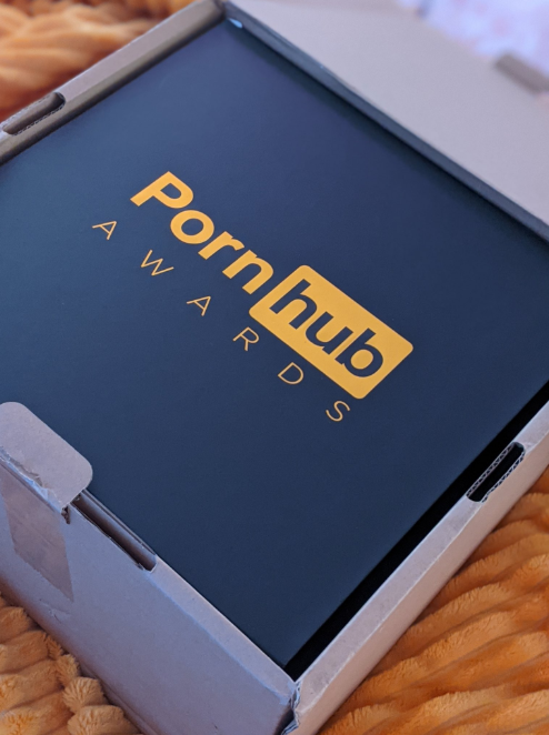 2020情色奥斯卡来了!Pornhub宣布入围名单,美东时间12/15晚上7点线上颁奖 - 51虹马 2020情色奥斯卡来了!Pornhub宣布入围名单,美东时间12/15晚上7点线上颁奖 - 51虹马