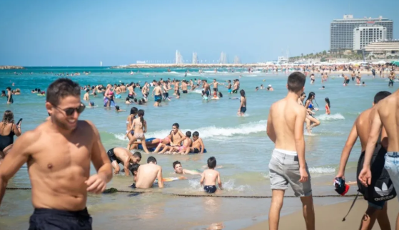 《分租》：灵肉分离的旅行炮 - 51虹马