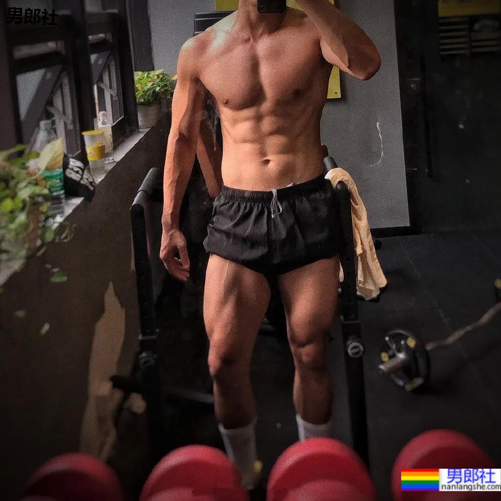 谢梓秋露脸力捧体院毕业教练，腱子肉体育生这腹肌简直绝了！ - 51虹马