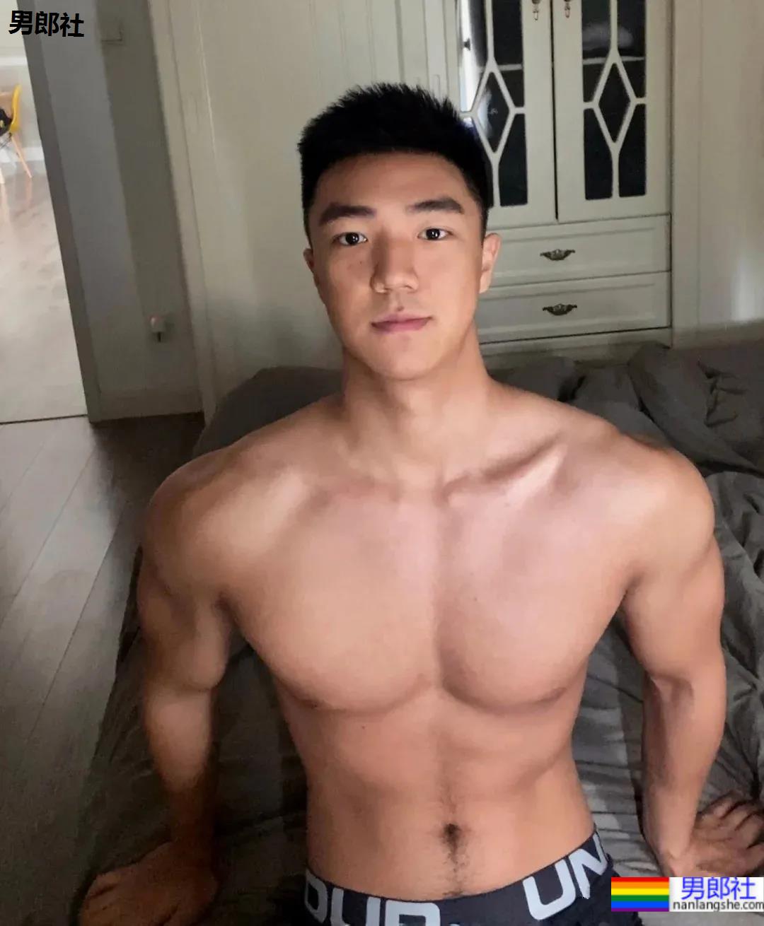 寸头小狼狗，健身成果，你打多少分？ - 51虹马