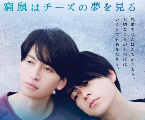 哪怕穷途末路的老鼠，也有权做着奶酪的梦 - 51虹马