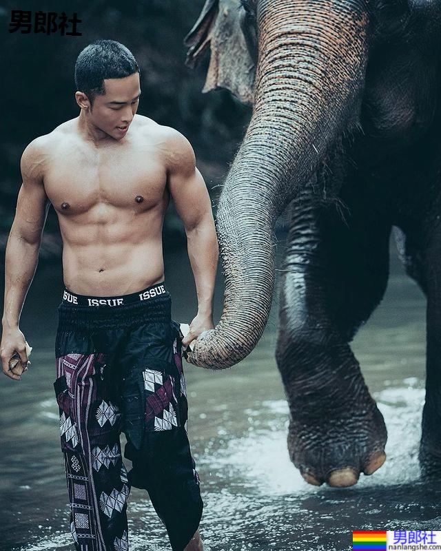 海滩热裤伸出长长大象鼻，肌肉大写性感让你全身湿透：SUN - 51虹马