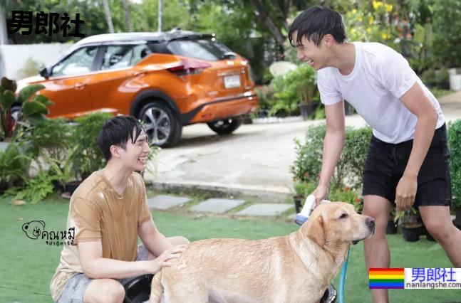 又来5部腐剧，你最看好哪个？ - 51虹马