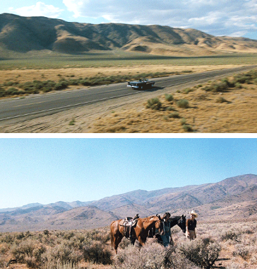 女版“断背山”？它是“断背山”的姑奶奶！ - 51虹马