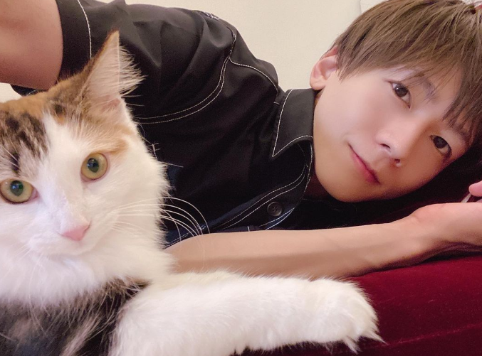 《迂迴的最短距离》续集《雨水与苏打水》！向理来黑化回归地下男公关 挑逗、爱抚让人冻未条 - 51虹马