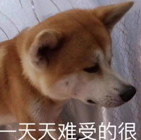 小县城Gay的现状 - 51虹马