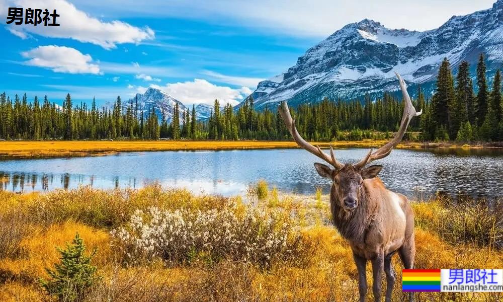 一个常年被评为“同志宜居”的国家,刻画着出了同志心中的模样 - 51虹马 一个常年被评为“同志宜居”的国家,刻画着出了同志心中的模样 - 51虹马