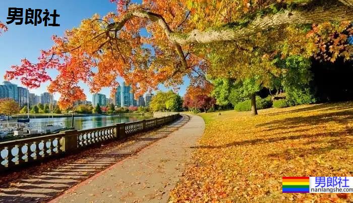 一个常年被评为“同志宜居”的国家,刻画着出了同志心中的模样 - 51虹马 一个常年被评为“同志宜居”的国家,刻画着出了同志心中的模样 - 51虹马