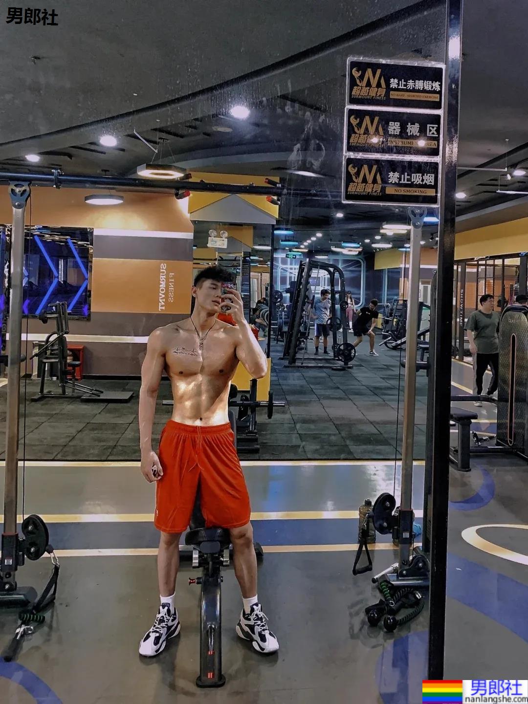 182体育系腹肌小狼狗，这薄肌身材让人不淡定了! - 51虹马