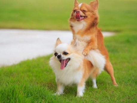 15个男同志零号的辛酸,告诉你为什麽当零号比一号更辛苦 - 51虹马 15个男同志零号的辛酸,告诉你为什麽当零号比一号更辛苦 - 51虹马