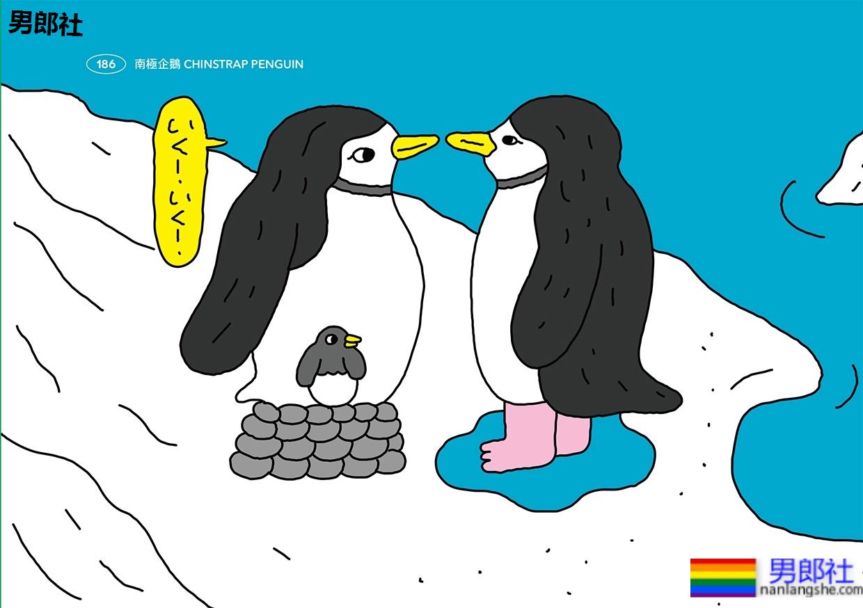 无「啪」不欢还开性爱趴？盘点8种热爱同性性行为的动物！ - 51虹马