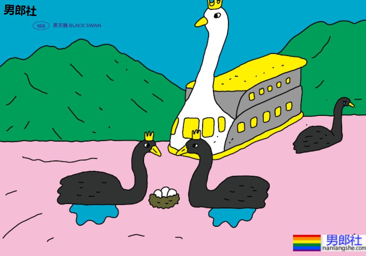 无「啪」不欢还开性爱趴？盘点8种热爱同性性行为的动物！ - 51虹马